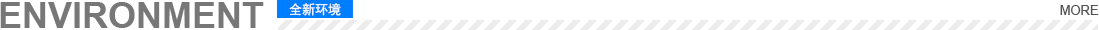 全新(xīn)環境