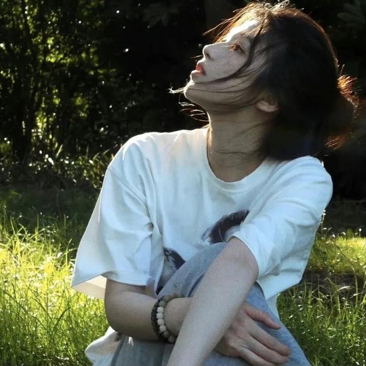 长风少年词 高清封面